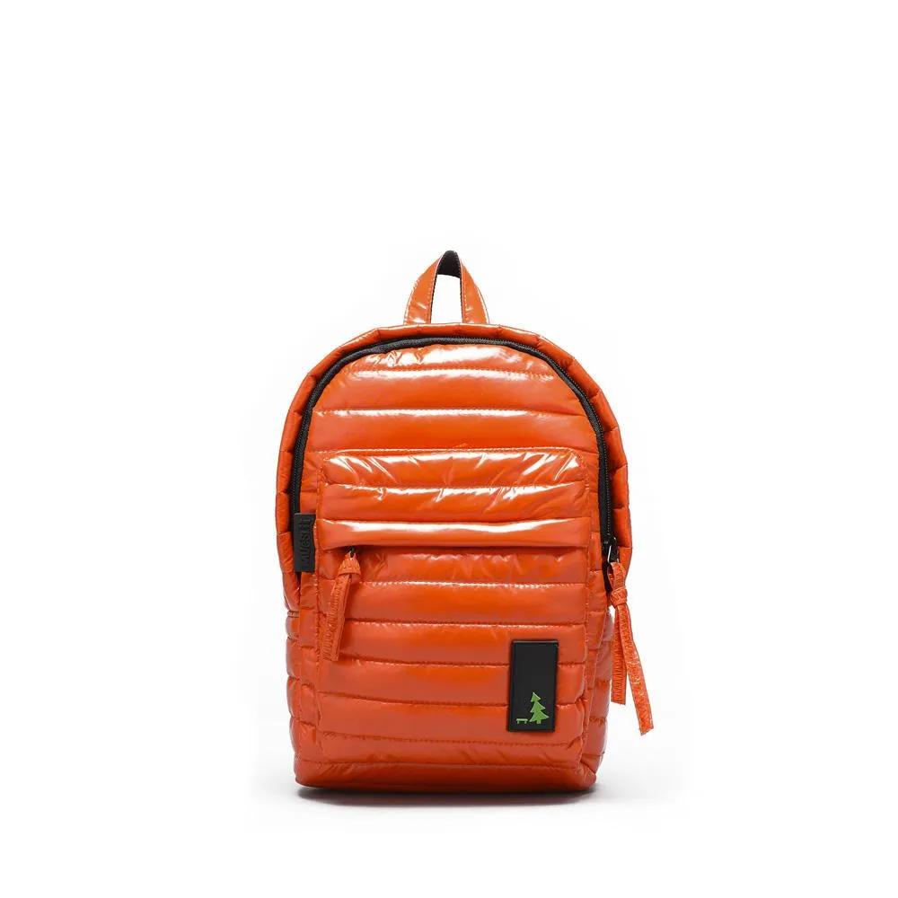 Mini Classici