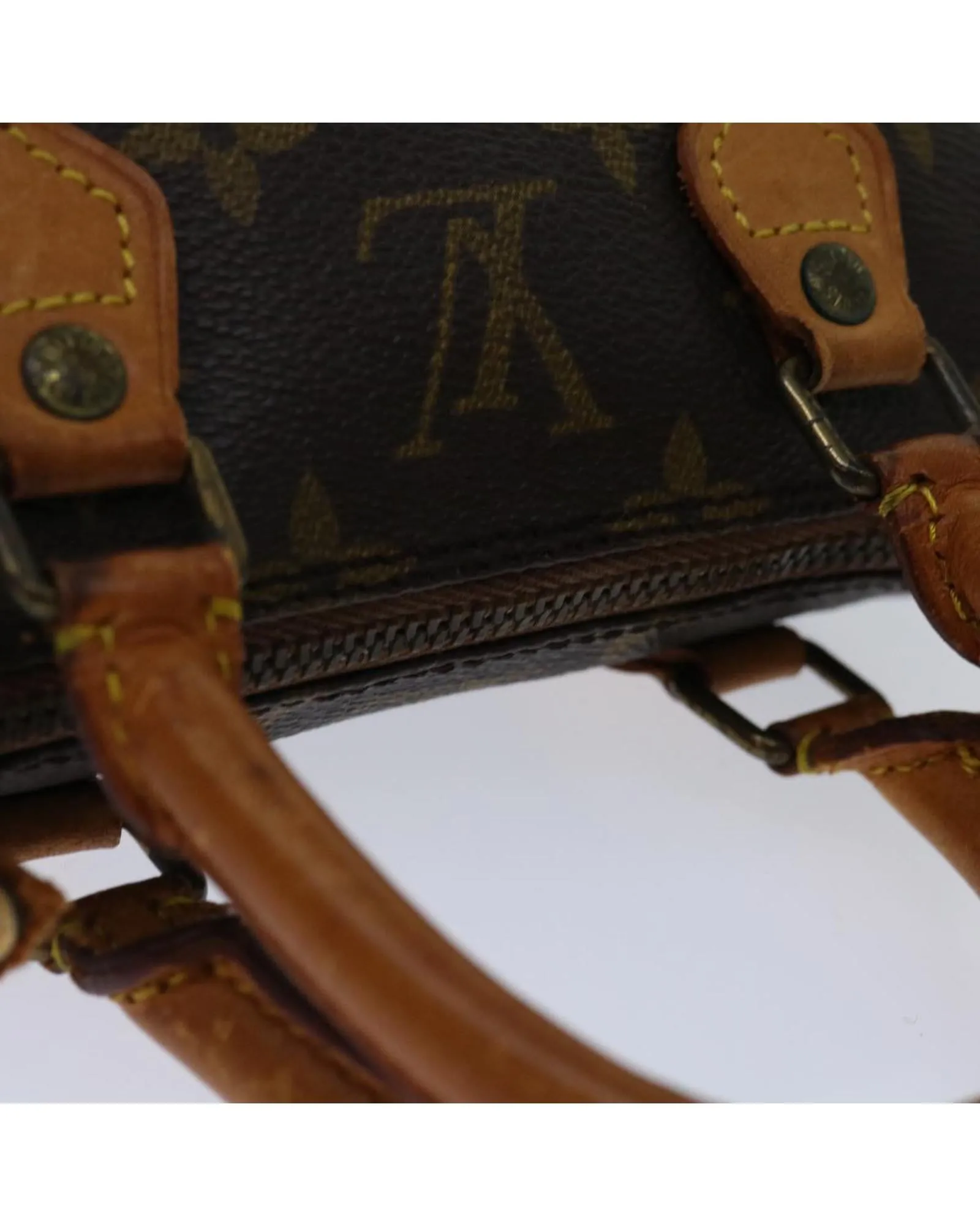 Monogram Canvas Mini Speedy Handbag