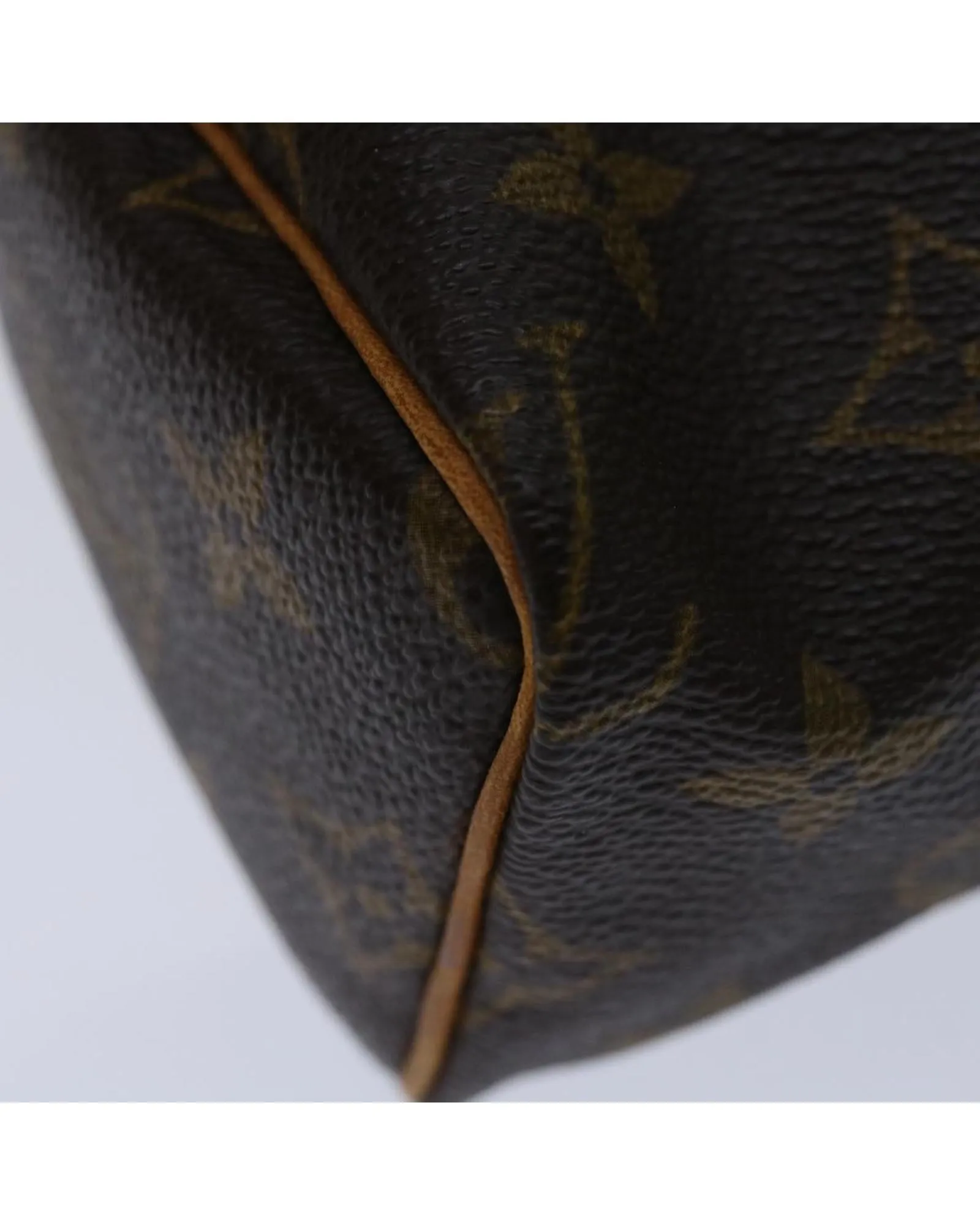 Monogram Canvas Mini Speedy Handbag