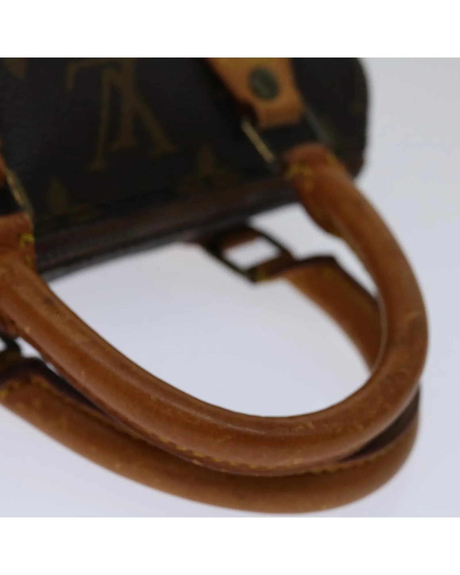 Monogram Canvas Mini Speedy Handbag