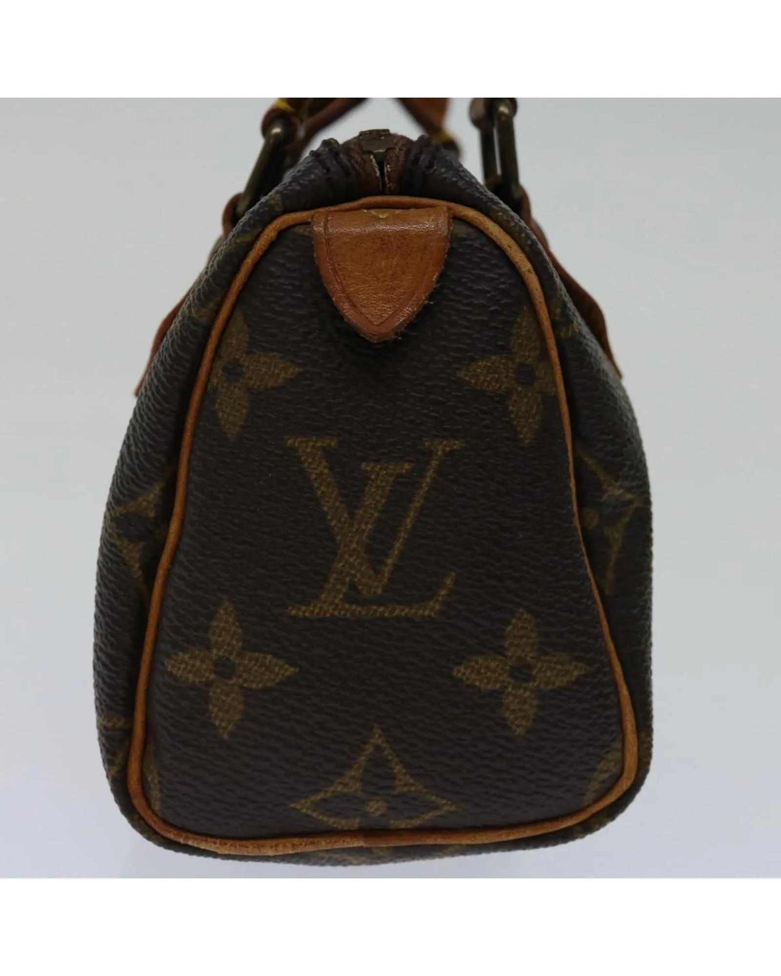 Monogram Canvas Mini Speedy Handbag