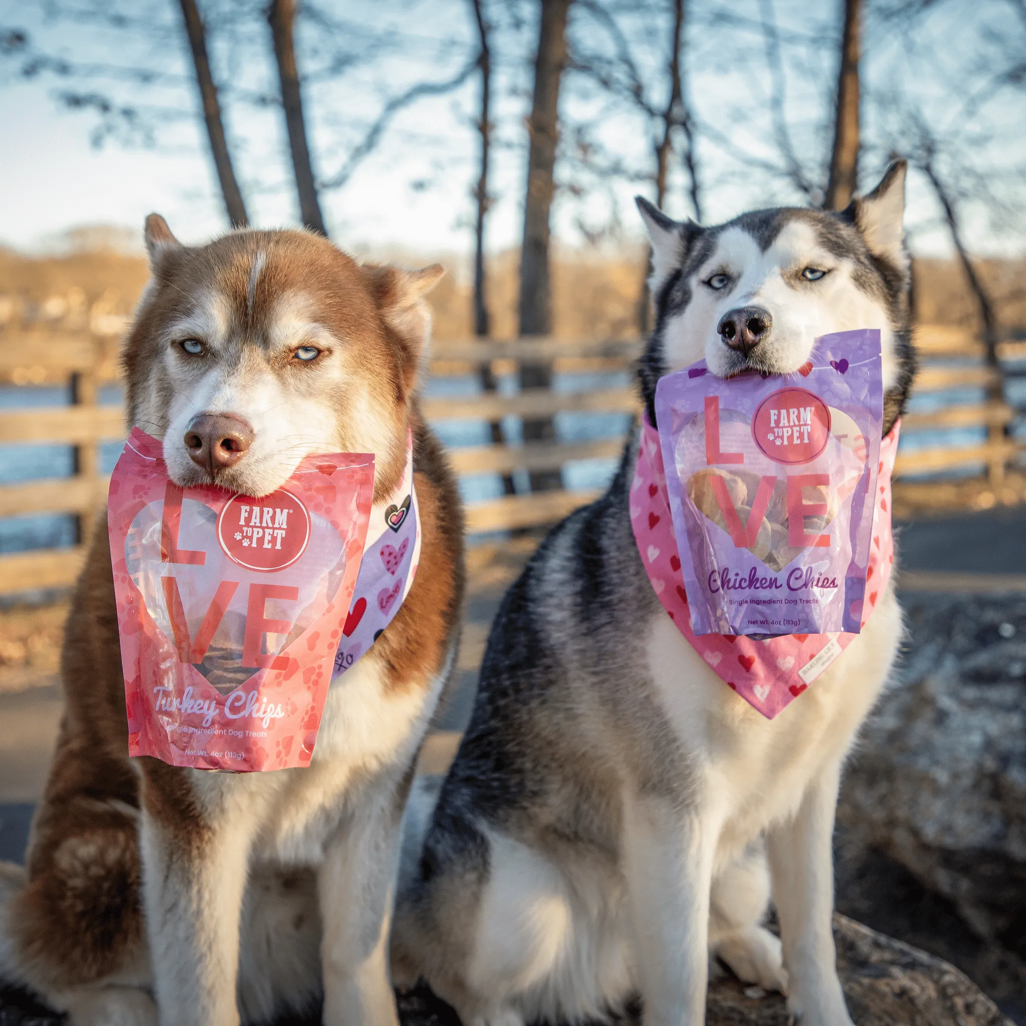 Pets Love Chips Bundle