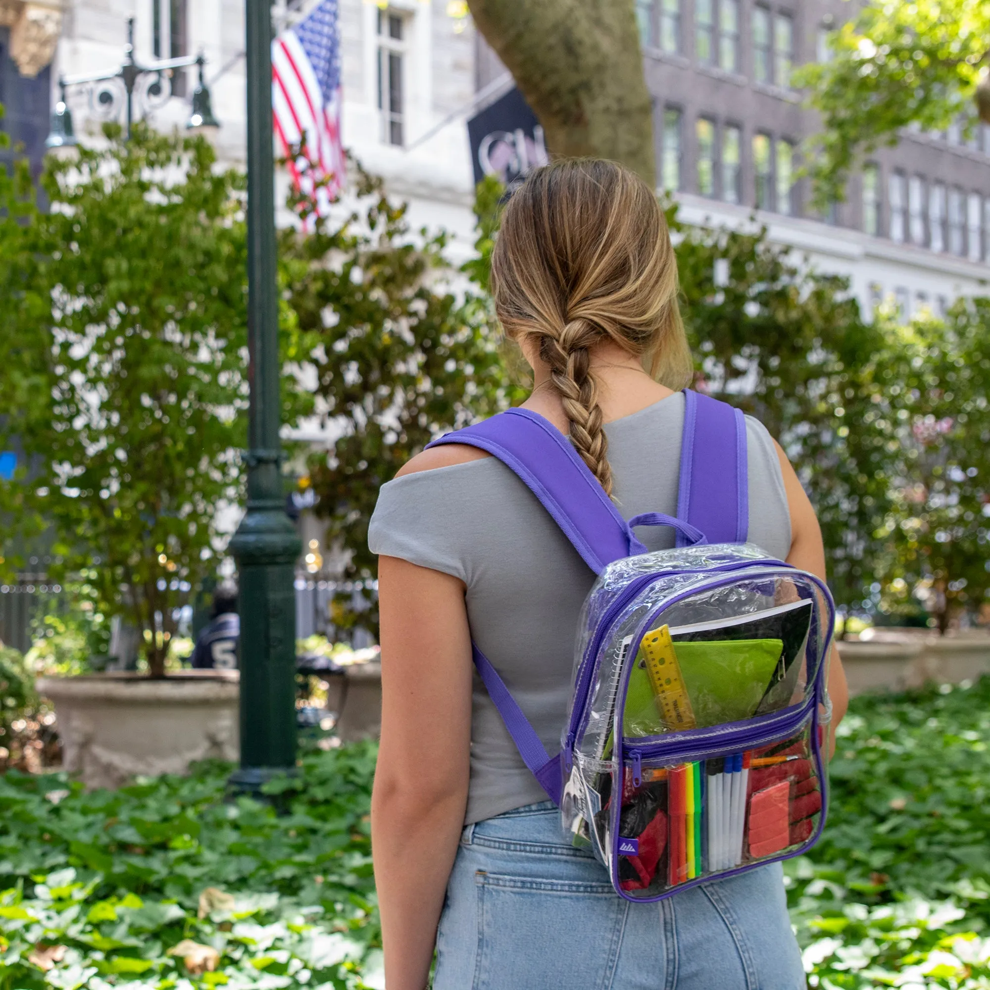 Trailmaker Clear Mini Backpack - Four Color Choices