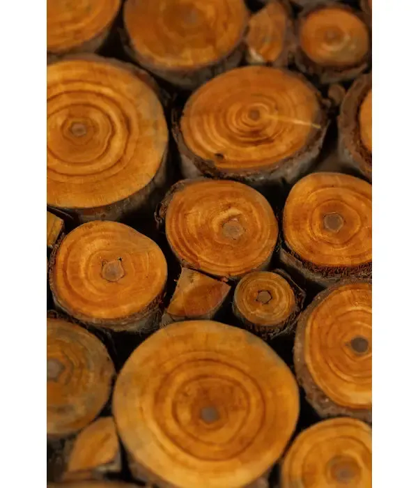 Wood Slice Trivet
